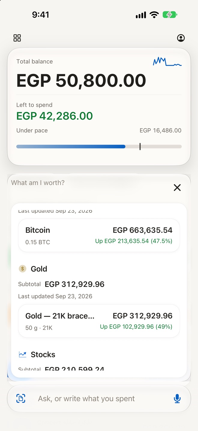 The question What am I worth: 0.15 bitcoin at EGP 663,635.54, up 47.5%, then gold with a 50 gram 21 karat bracelet at EGP 312,929.96, up 49%, then stocks, each with its own subtotal.